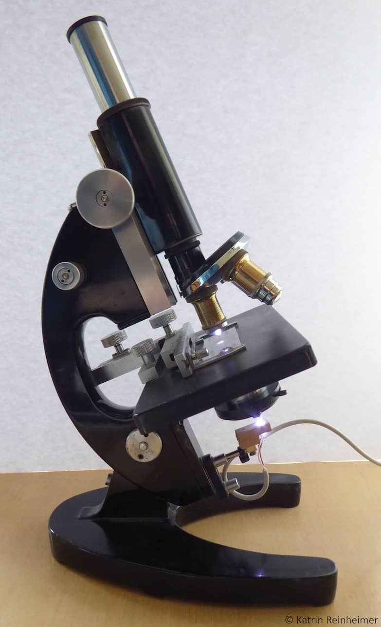 Ein Lichtmikroskop mit dem man seine Pollen untersuchen kann.